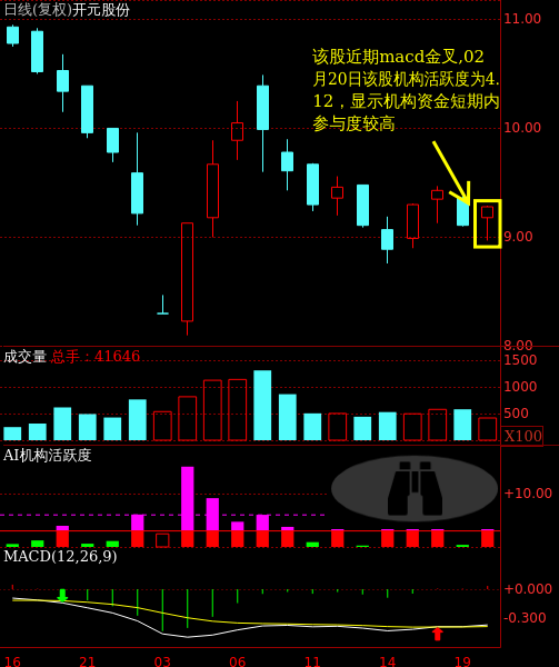 關(guān)于股票300338的全方位解析，股票300338全方位深度解析