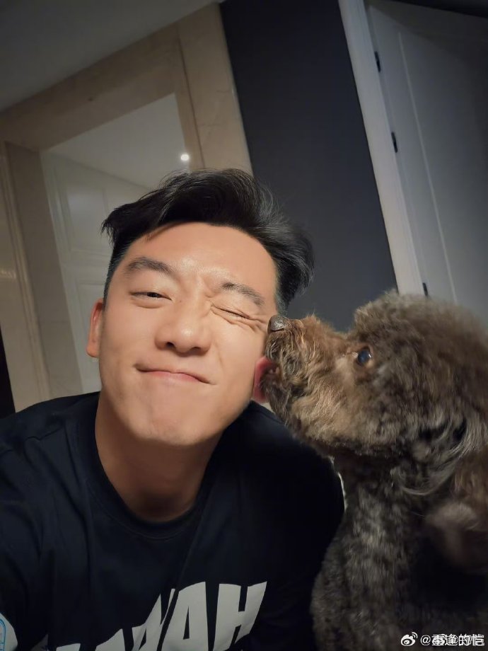 鄭愷微博，星光璀璨，與粉絲互動的無盡魅力，鄭愷微博，星光魅力與粉絲互動的璀璨舞臺