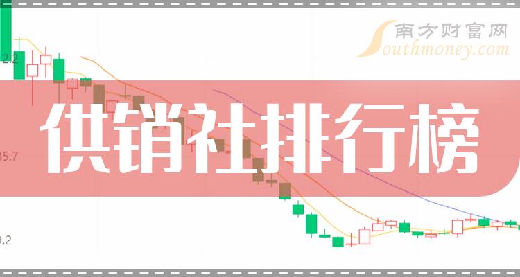 供銷概念股，解析與前景展望，供銷概念股，深度解析與未來前景展望