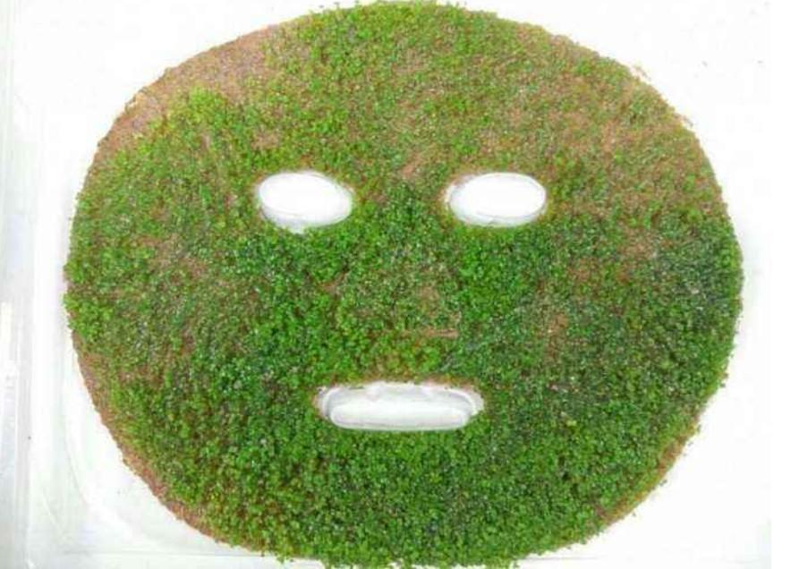 海藻面膜可以天天敷嗎？——深度解析海藻面膜的使用頻率與注意事項(xiàng)，海藻面膜的使用頻率與注意事項(xiàng)解析，能否天天敷海藻面膜？