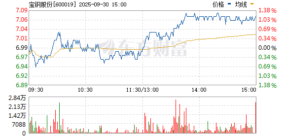 寶鋼股份股票600019，深度解析與市場前景展望，寶鋼股份股票600019深度解析及市場前景展望
