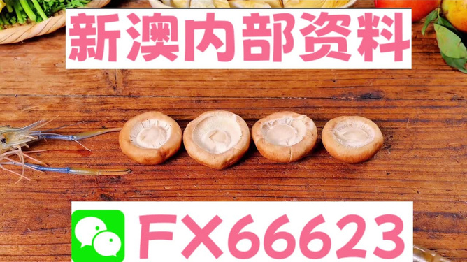 新澳全年免費(fèi)資料大全——探索與學(xué)習(xí)資源的寶庫，新澳全年免費(fèi)資料大全，探索與學(xué)習(xí)資源的終極寶庫