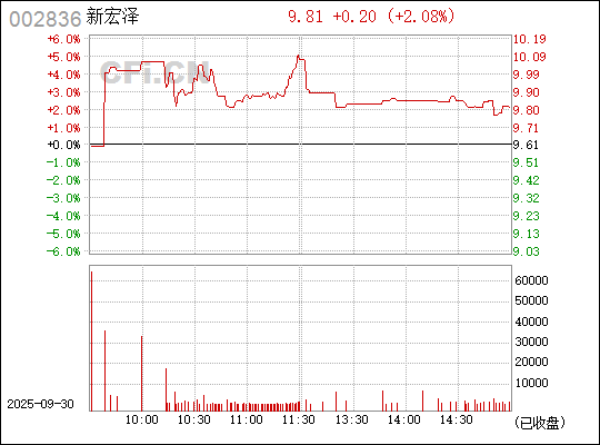 深入了解數(shù)字代碼，002836——探索其背后的含義與應(yīng)用，揭秘數(shù)字代碼002836背后的含義與應(yīng)用探索