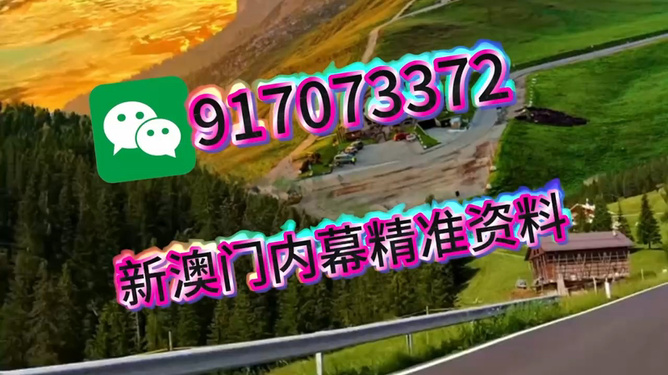 王中王一肖一中特，深度解析與SEO優(yōu)化策略，王中王一肖一中特深度解析與SEO優(yōu)化策略探討