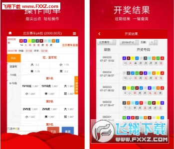 王中王三肖必出一肖，深度解析與探索，王中王三肖必出一肖，深度解析與探索揭秘