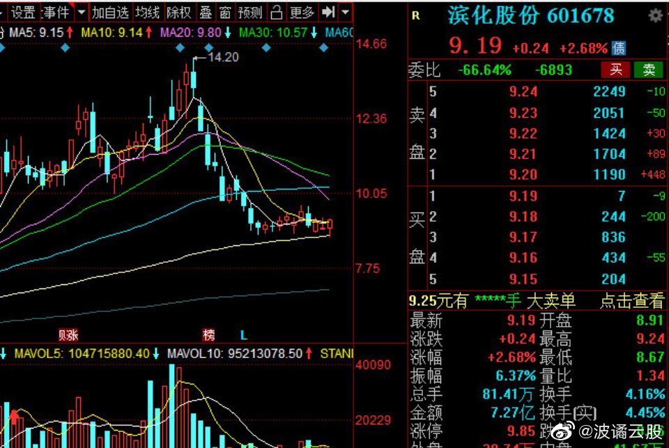 濱化股份股票，深度解析與前景展望，濱化股份股票深度解析及前景展望