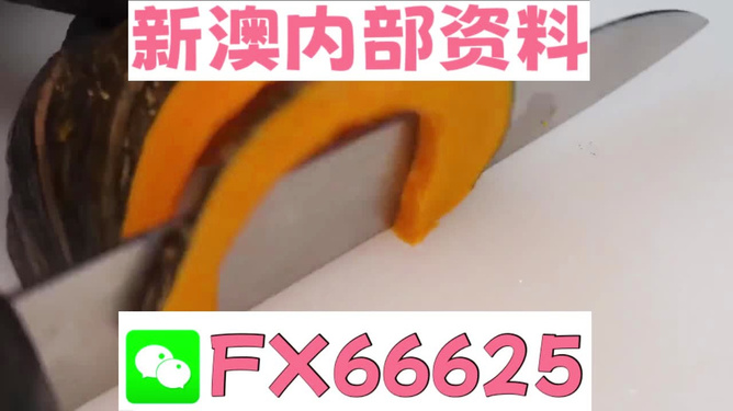 澳門管家婆，揭秘精準(zhǔn)預(yù)測的秘密武器，澳門管家婆揭秘，精準(zhǔn)預(yù)測的秘密武器全解析