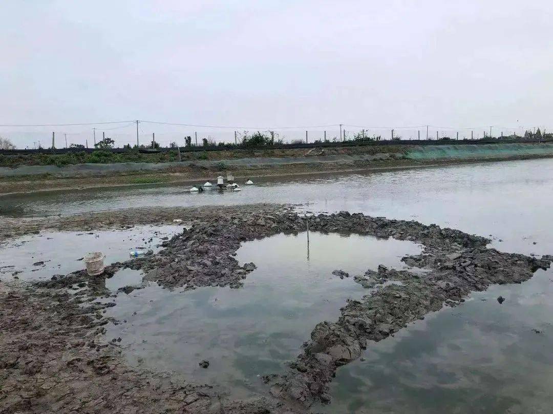澳門六局中局開獎(jiǎng)結(jié)果查詢，輕松掌握最新開獎(jiǎng)動(dòng)態(tài)，澳門六局最新開獎(jiǎng)結(jié)果實(shí)時(shí)查詢，輕松掌握最新動(dòng)態(tài)