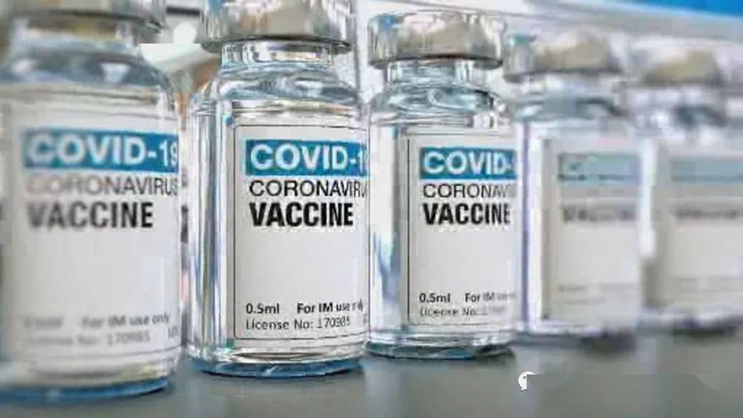 王中王解一肖特，揭秘生肖魅力與獨(dú)特之處，揭秘生肖魅力與獨(dú)特之處，王中王解讀一肖特