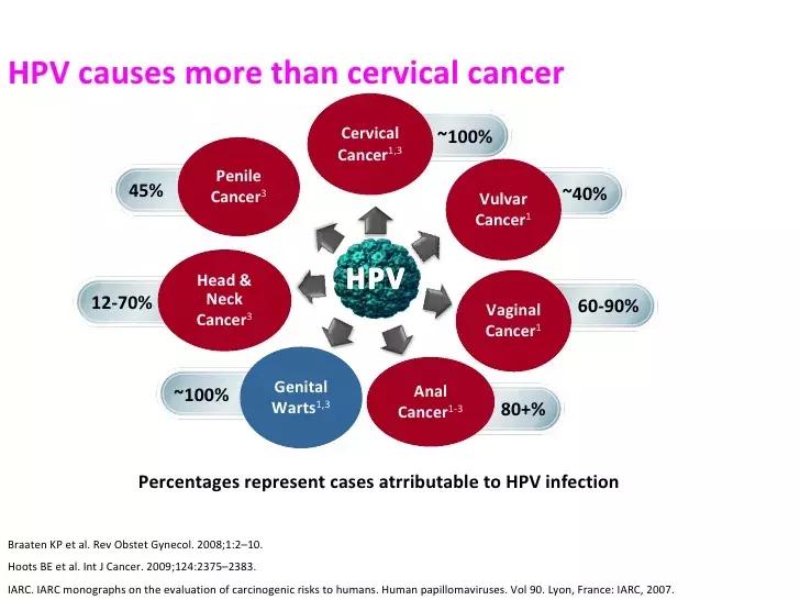 HPV52陽性可以自愈嗎？詳解HPV感染與身體康復(fù)之路，HPV52陽性能否自愈？HPV感染與身體康復(fù)的詳解之路