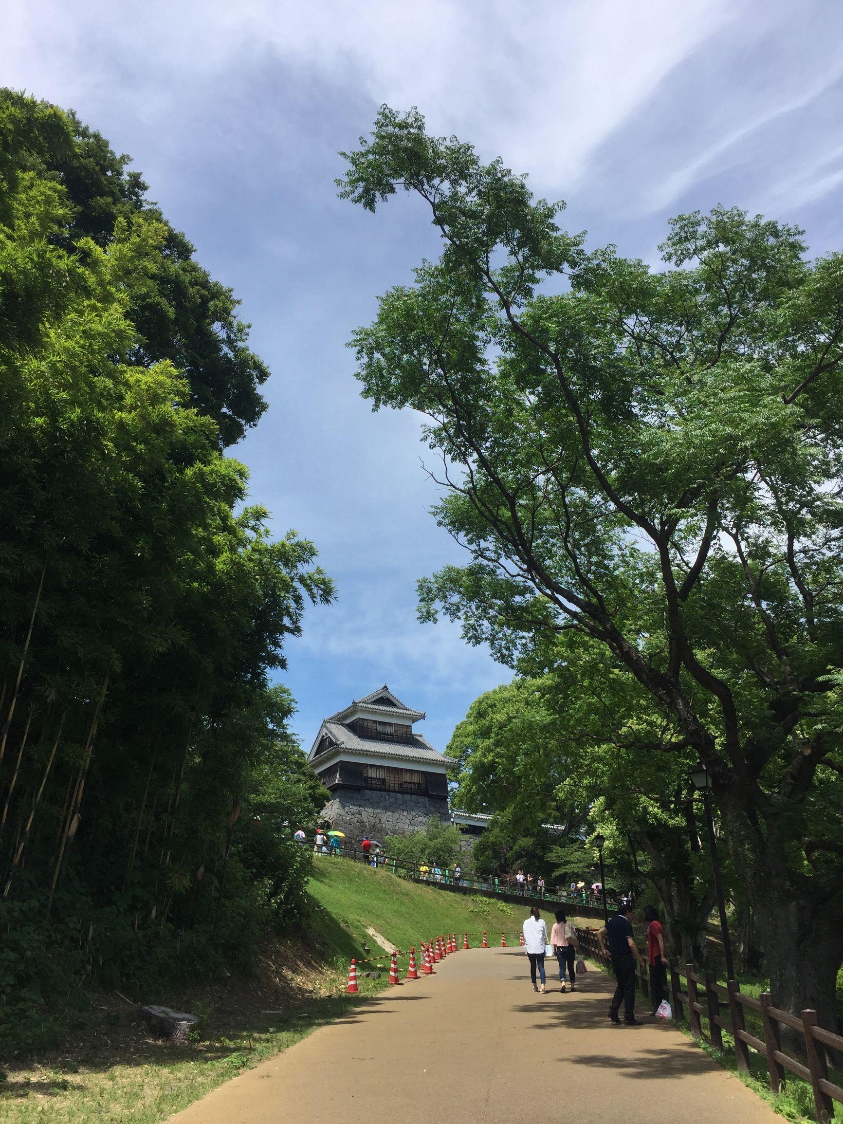 上海游輪旅游路線及價格詳解，上海游輪旅游路線與價格全面解析