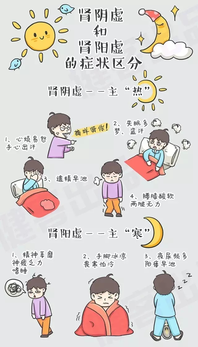 解析腎陰虛與腎陽虛，兩者之間的區(qū)別及理解，腎陰虛與腎陽虛，解析其區(qū)別與理解