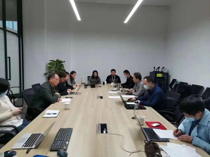 隆平高科股票股，投資潛力與市場前景分析，隆平高科股票投資潛力與市場前景深度解析