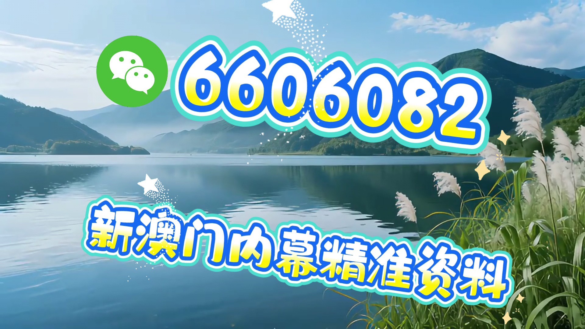 澳門一肖一碼必中一肖，揭秘彩票背后的秘密與策略，澳門彩票揭秘，必中一肖的策略與秘密