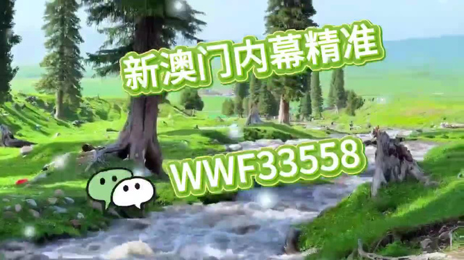 首選王中王打一生肖——揭秘生肖之王的獨(dú)特魅力，揭秘生肖之王獨(dú)特魅力，王中王所指生肖揭曉