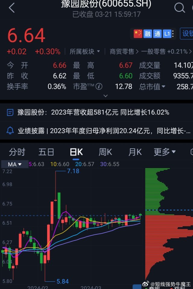 豫園股份股票，深度解析與前景展望，豫園股份股票深度解析及前景展望