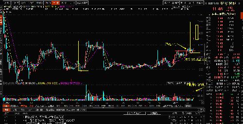 股票投資新寵，揭秘股票002178的潛力與價值，股票投資新星，揭秘股票002178的潛力與價值展望