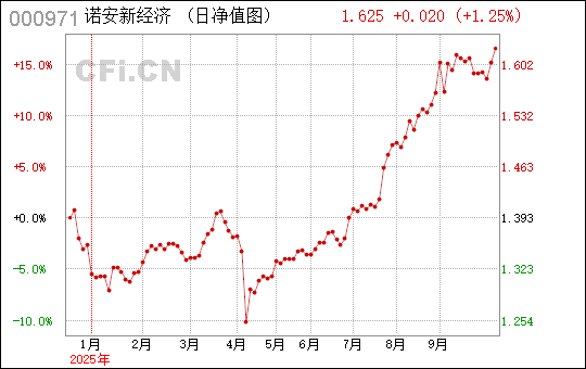 諾安新經(jīng)濟(jì)基金，探索未來經(jīng)濟(jì)的核心力量，諾安新經(jīng)濟(jì)基金，引領(lǐng)未來經(jīng)濟(jì)核心力量探索之旅
