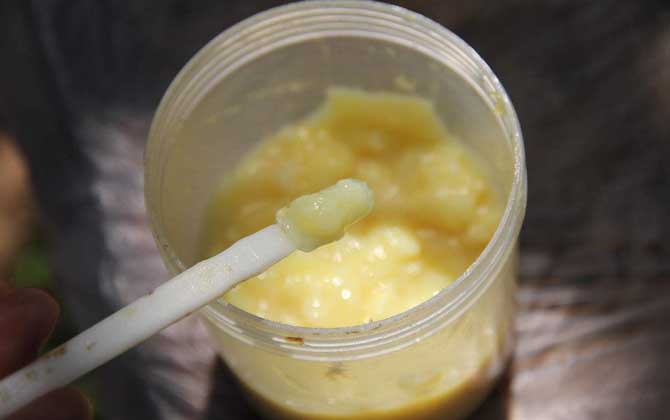 蜂王漿，功效、作用及食用方法詳解，蜂王漿，功效、作用及食用方法全面解析
