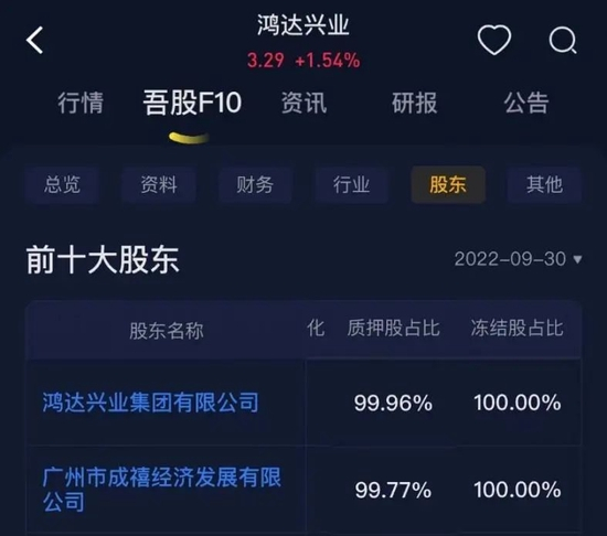 鴻達(dá)股份股票，深度解析與前景展望，鴻達(dá)股份股票深度解析及未來前景展望