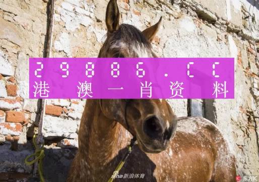 揭秘王中王資料，一肖正特馬的奧秘，揭秘王中王資料與一肖正特馬的神秘面紗