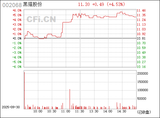 深入了解，關(guān)于股票代碼中的秘密——002068，揭秘股票代碼中的秘密，002068深度解析