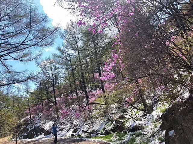 即墨天氣預報，掌握天氣變化，助力生活安排，即墨天氣預報，掌握天氣變化，智能規(guī)劃生活