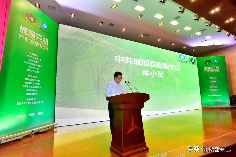 元胡的功效與作用，揭示傳統(tǒng)草藥的神奇療效，元胡的神奇療效，功效與作用探究