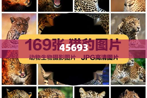 全新升級(jí)，7777888888精準(zhǔn)新管家，全新升級(jí)管家，精準(zhǔn)管理，一站式服務(wù) 7777888888新管家重磅來(lái)襲