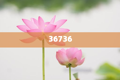 神秘面紗揭開(kāi)