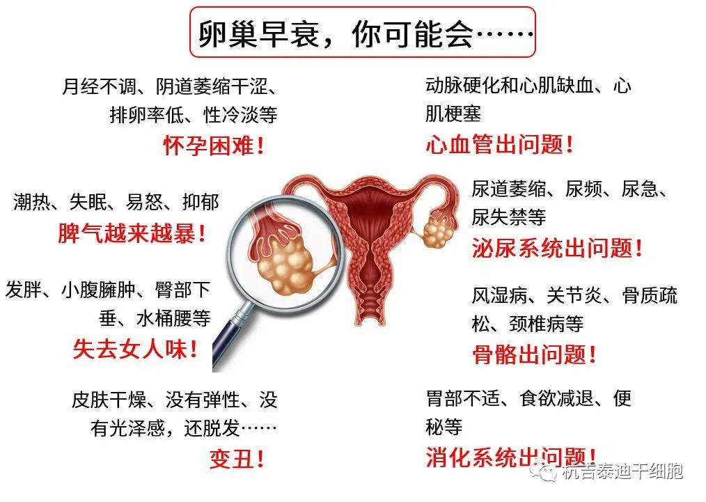 四十歲卵巢早衰能否調(diào)整回來？解讀卵巢早衰與應對策略，四十歲卵巢早衰能否調(diào)整回來？解讀卵巢早衰現(xiàn)象及應對策略
