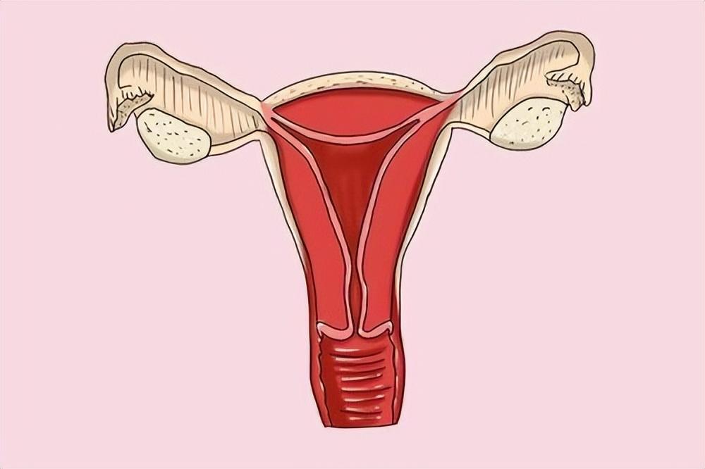 上環(huán)的最佳時(shí)間，全面解析與指導(dǎo)，上環(huán)最佳時(shí)間解析與指導(dǎo)手冊(cè)