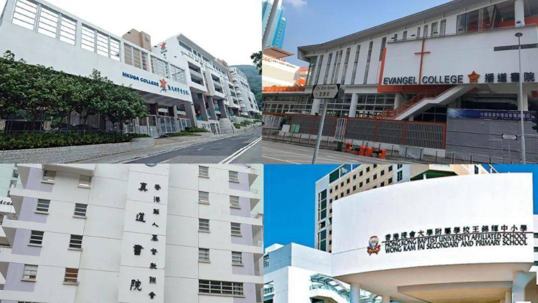 香港免費(fèi)公開資料大全，探索無盡的資源寶庫，香港免費(fèi)公開資料寶庫，無盡資源探索之旅