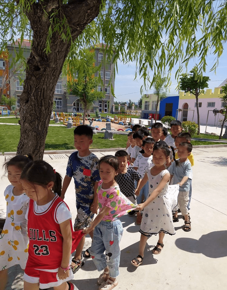 王中王三肖四期必開一肖，解析與預(yù)測(cè)，王中王三肖四期必開一肖解析與預(yù)測(cè)報(bào)告