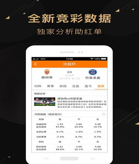 二肖二碼，深度解析與SEO優(yōu)化策略，二肖二碼深度解析與SEO優(yōu)化策略探討