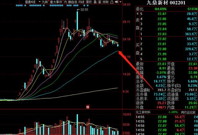 股票002201，深度解析與前景展望，股票002201深度解析與未來(lái)前景展望