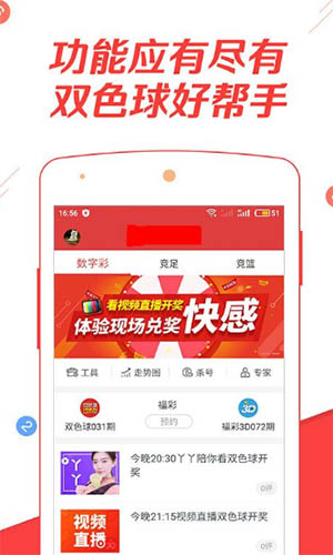 探索前沿資訊，2019王中王論壇與Q一肖中特論壇的獨特魅力，前沿資訊深度探索，王中王論壇與Q一肖中特論壇的獨特風(fēng)采