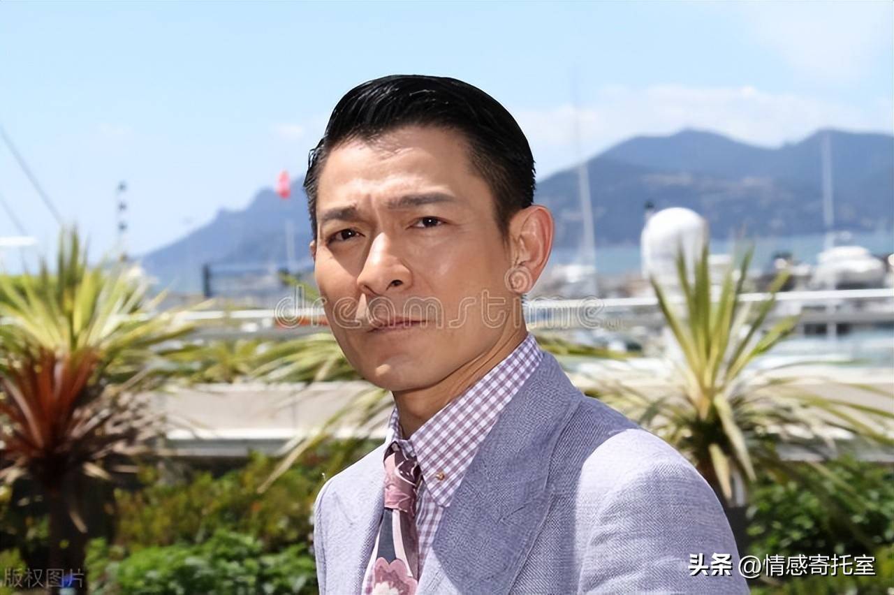 香港一碼一肖王中王，揭秘背后的秘密與真相，揭秘香港一碼一肖王中王的秘密與真相