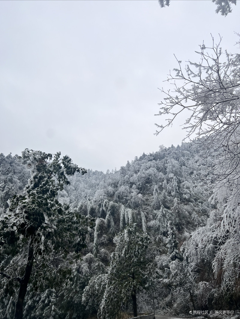 雪峰山國(guó)家森林公園，自然之美的瑰寶，雪峰山國(guó)家森林公園，自然之美的璀璨瑰寶