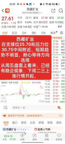 西藏礦業(yè)股票股吧，投資潛力與前景展望，西藏礦業(yè)股票投資潛力與前景展望，股吧熱議的焦點(diǎn)