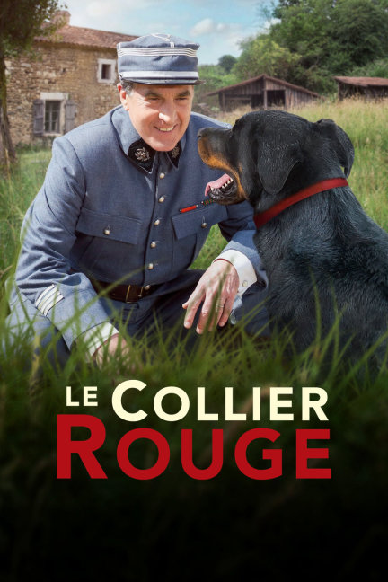 四不像王中王必中一肖，揭秘背后的秘密與策略，揭秘四不像王中王必中一肖的秘密與策略，揭秘背后的真相與策略