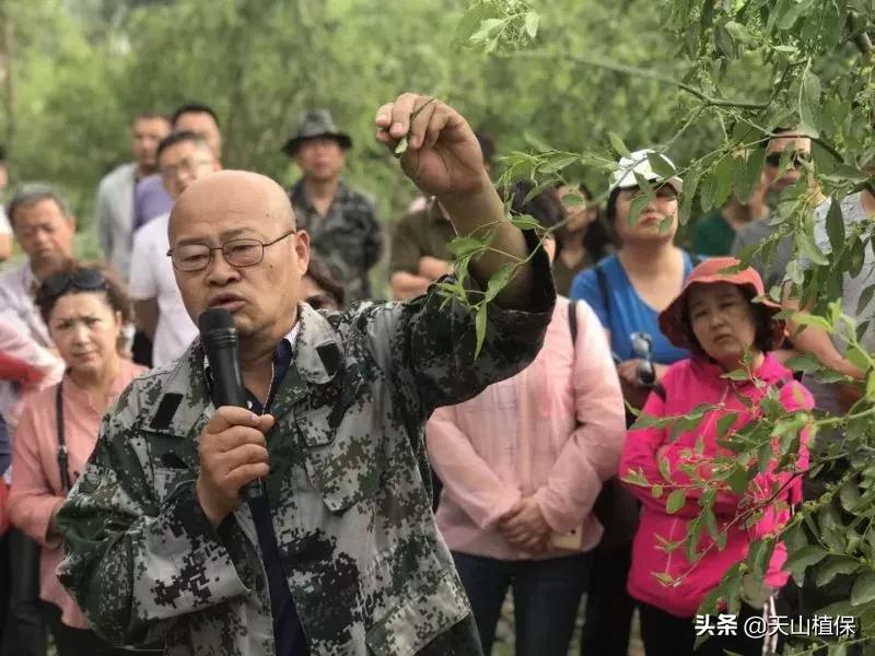 長(zhǎng)期吃紅棗的潛在害處，了解并平衡飲食健康，長(zhǎng)期食用紅棗的潛在風(fēng)險(xiǎn)與飲食平衡的重要性