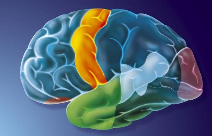 腦神經(jīng)衰弱最好的治療方法，全面解析與個性化護理方案，腦神經(jīng)衰弱最佳治療法，全面解析與個性化護理策略