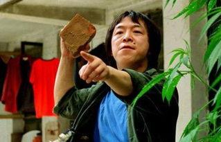 王中王丑中王解一肖，探尋背后的故事與奧秘，探尋王中王丑中王解一肖背后的故事與奧秘