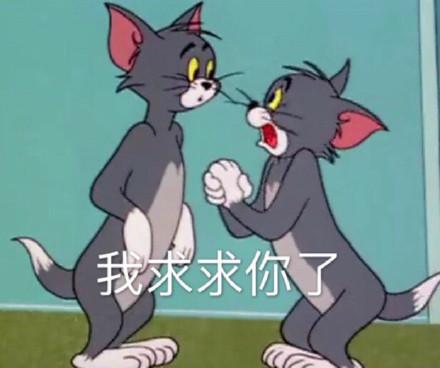 湯姆貓股票股吧，投資熱點(diǎn)與前景展望，湯姆貓股票股吧，投資熱點(diǎn)與未來前景展望