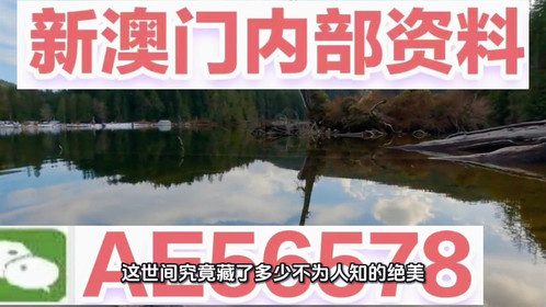 揭秘澳門精準四不像，預測未來的趨勢與探索（2025展望），澳門精準四不像揭秘，未來趨勢展望與探索（2025年預測）