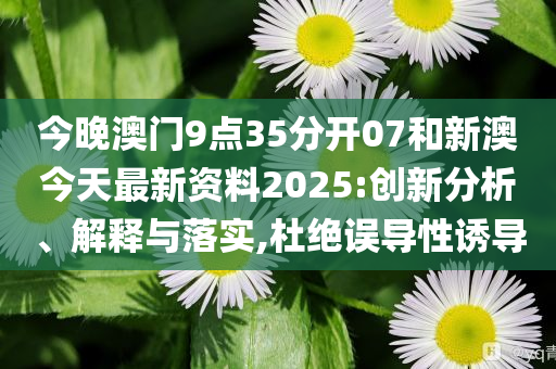 新澳今天最新資料，深度解讀與探索，新澳今日深度解讀與探索最新資料