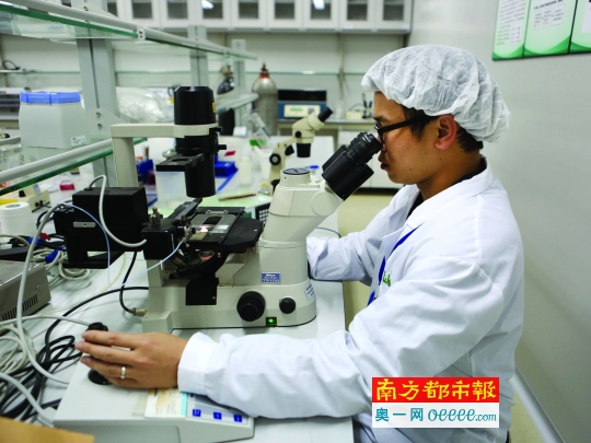 關于結扎的SEO文章，結扎手術詳解，知識、優(yōu)勢與注意事項