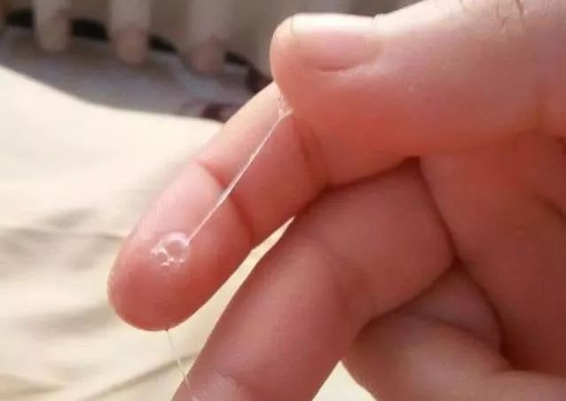 突然一灘水與排卵，解讀女性身體信號(hào)，女性身體信號(hào)解讀，排卵期的水灘現(xiàn)象解析