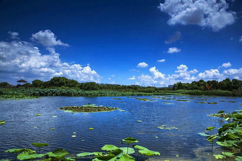 山東天氣最新消息，全面了解山東各地的氣象動態(tài)，山東最新天氣預(yù)報，全面解讀各地氣象動態(tài)